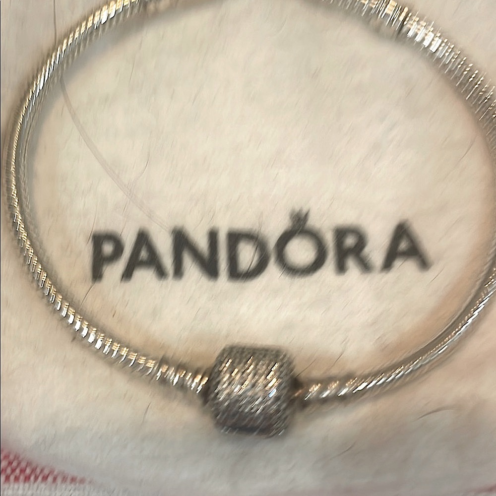 Pandora Silver Bracelet with Sparkling Charm